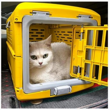 Rubeku Pet Carrier Foldable Capsule M Blue